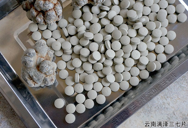 三七片20.jpg