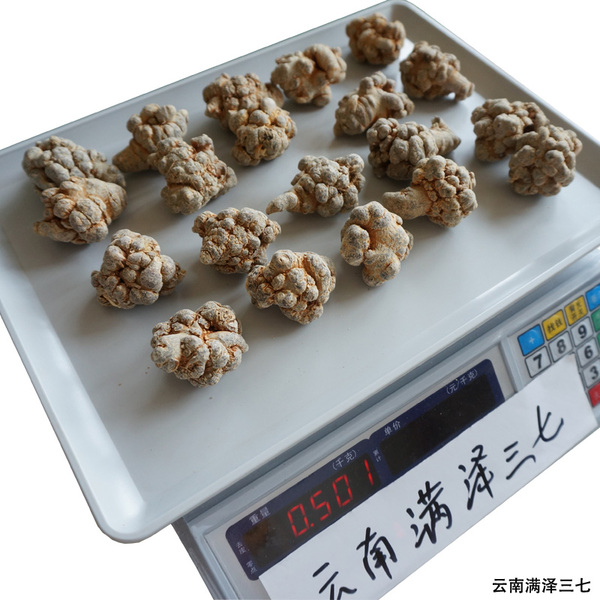 文山三七.jpg