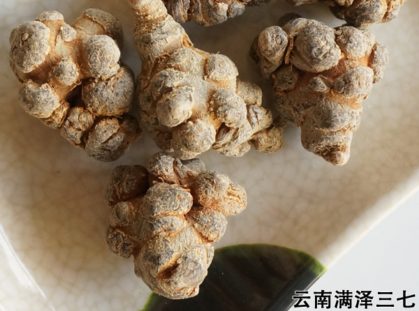 三七头18.jpg