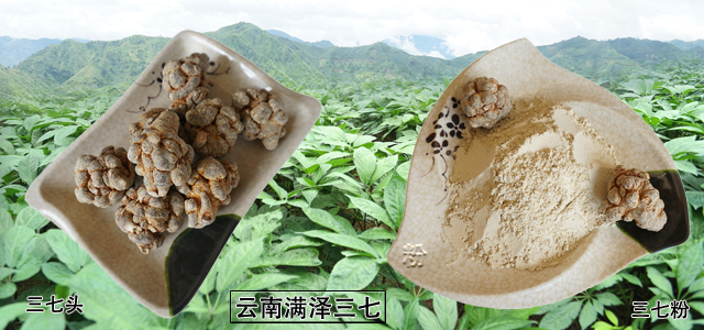 云南三七|三七粉|三七花|文山纯三七粉价格多少钱一斤- 云南文山满泽三七商城